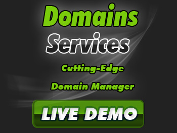 Cut-price domain name registration service providers